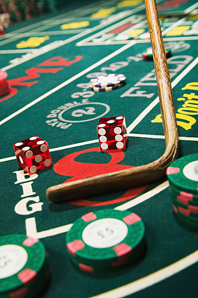 indobet365 slot game interface showing spin button and balance display